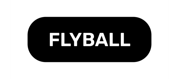 Flyball